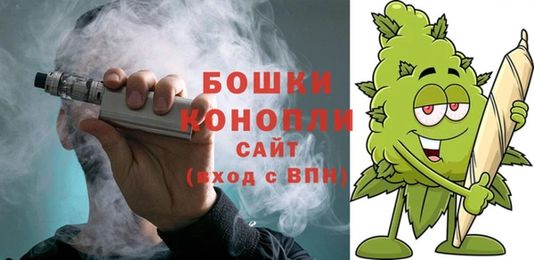 стаф Вязники