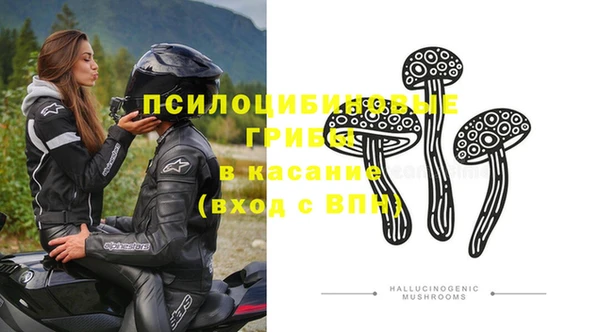 Альфа ПВП Вяземский