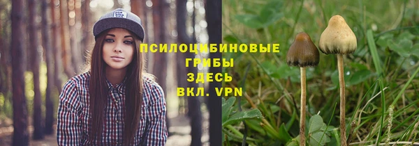 Альфа ПВП Вяземский